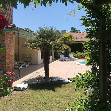 Standing Cap-ferret Villa